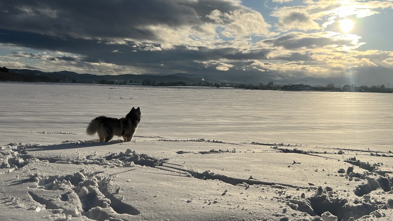 Someone Drew a Heart in the Snow. It Wasn’t Me.